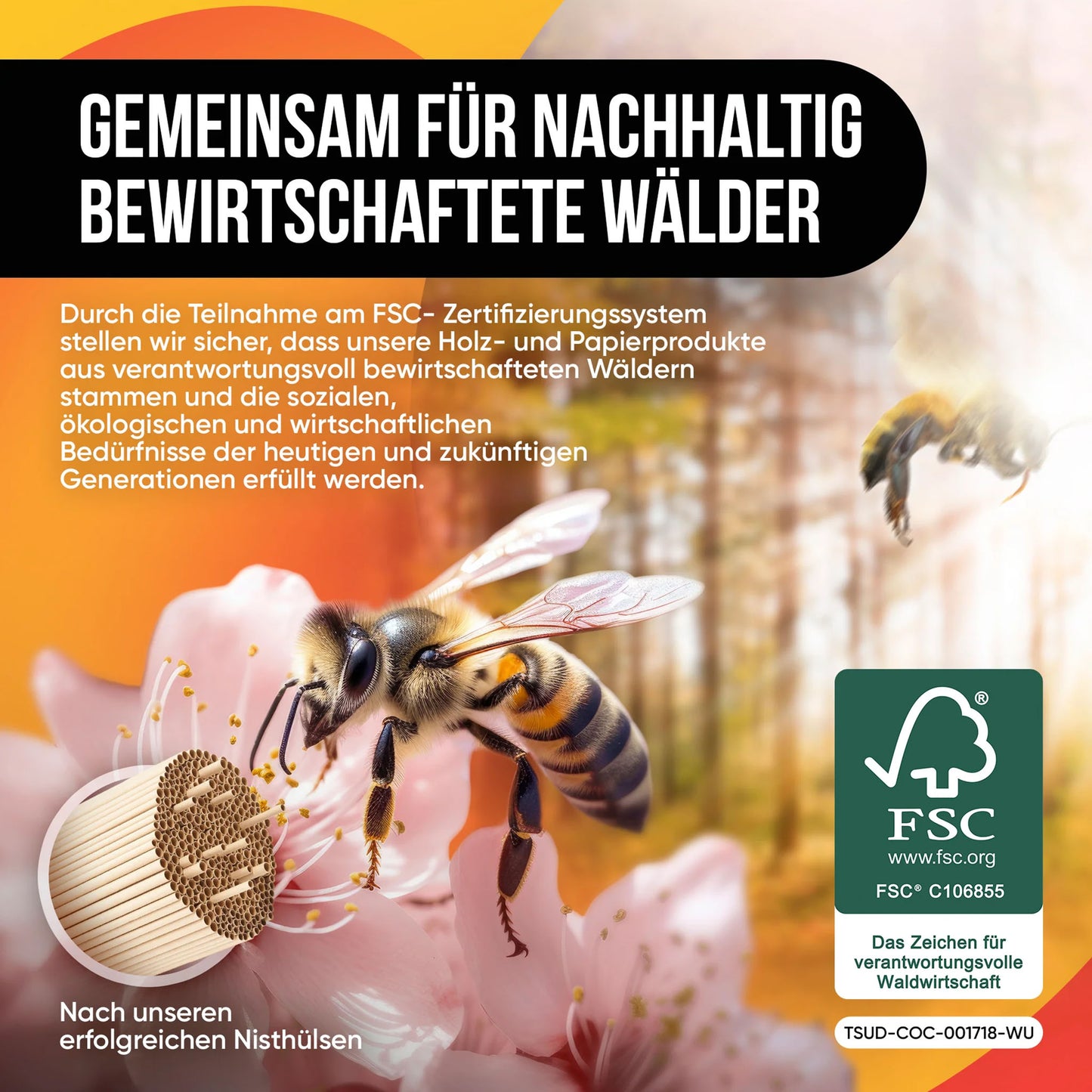 Bienenhotel mit Nisthülsen aus Pappe