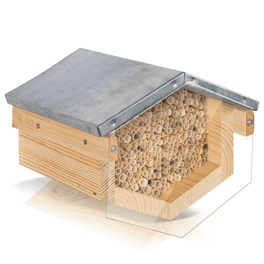 Wildbienenhotel Schilf mit Vogelschutz