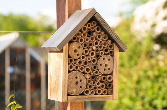 Insektenhotel oder Bienennisthilfe - ein Unterschied?