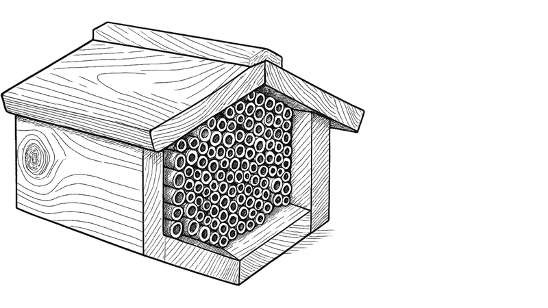Bienenhotels