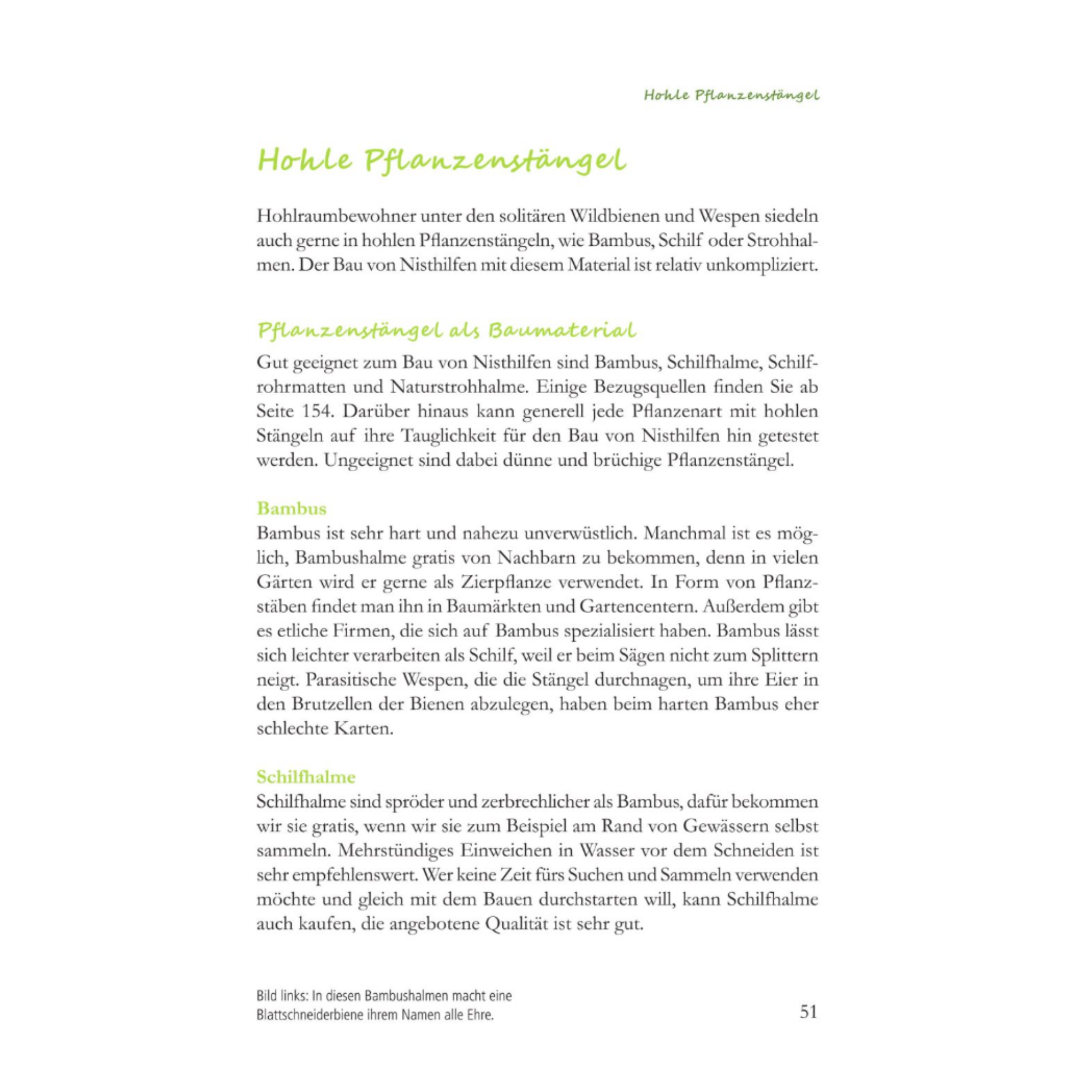 Fertig zum Einzug: Nisthilfen für Wildbienen