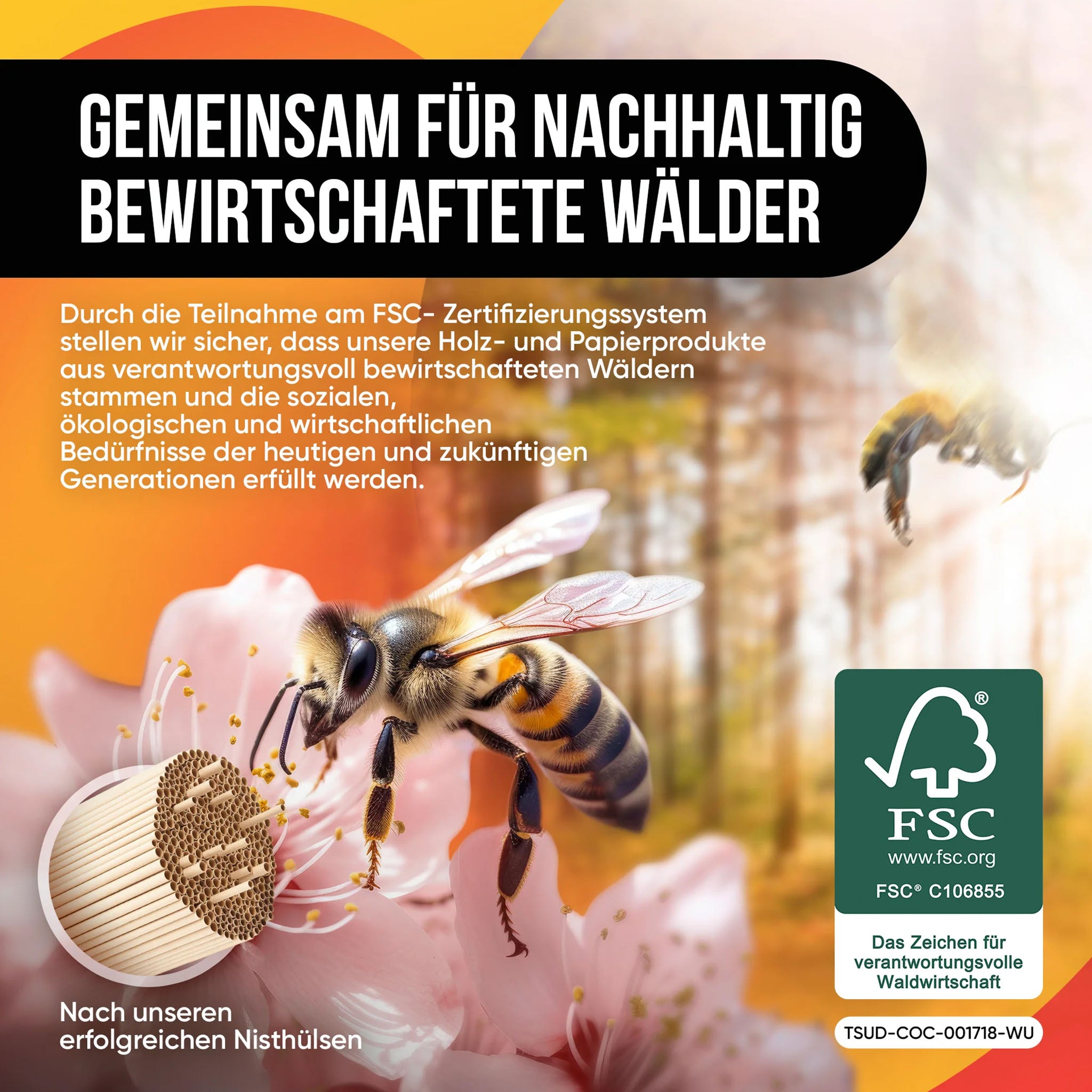 Bienenhotel mit Nisthülsen aus Pappe