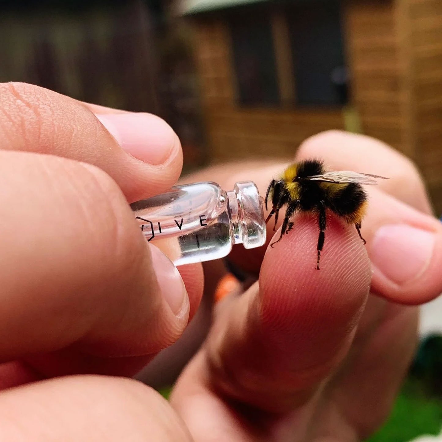 Schlüsselanhänger "Bienenretter"