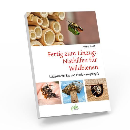 Fertig zum Einzug: Nisthilfen für Wildbienen