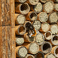 Lehmpulver für Wildbienen