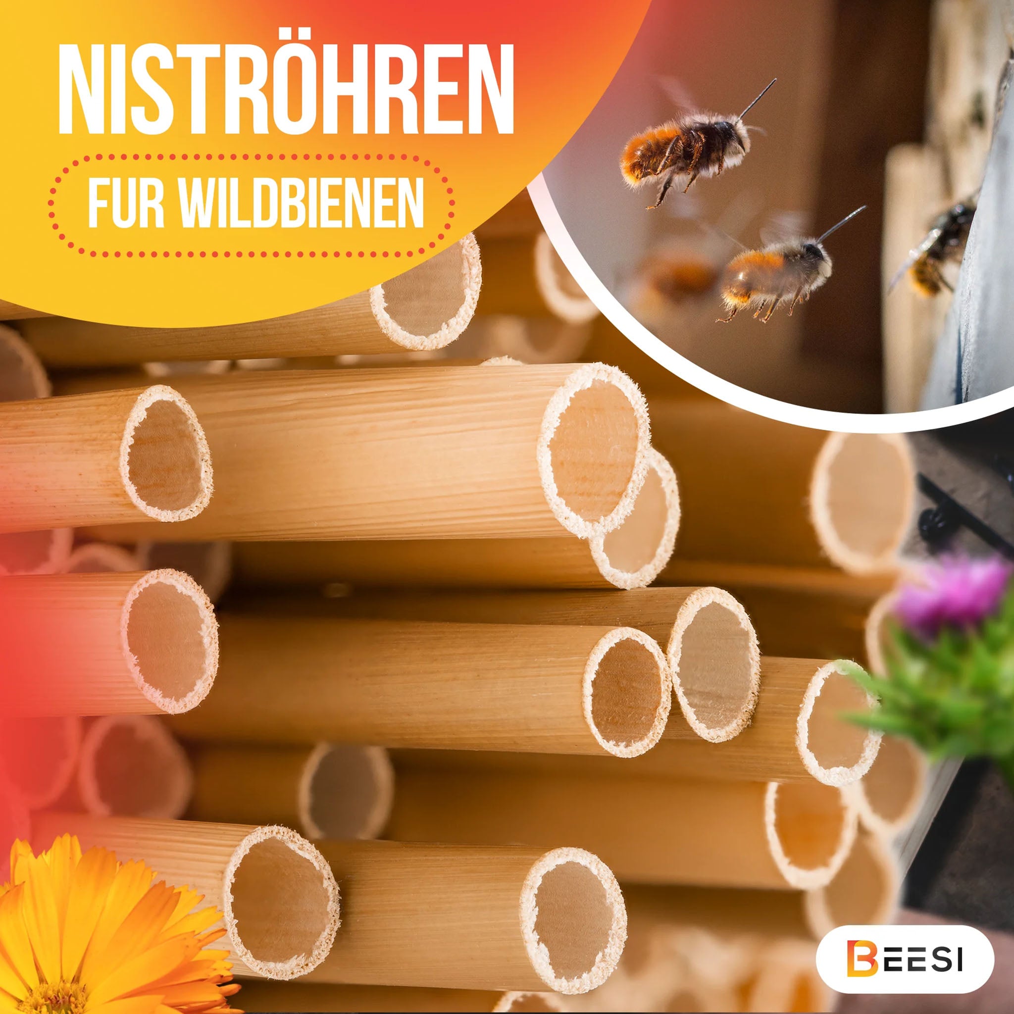 Nisthülsen aus Bambusgras