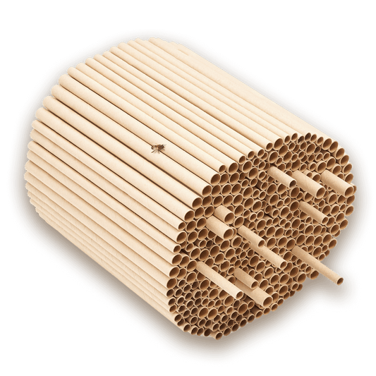 Nisthülsen aus Pappe