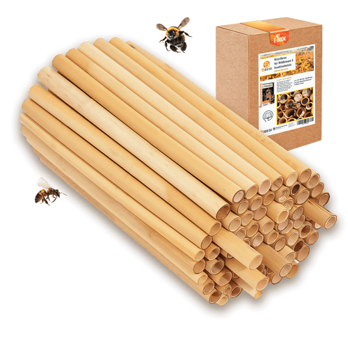 Nisthülsen aus Schilf