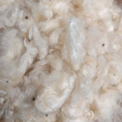 1L Kapok Nestmaterial für Hummeln