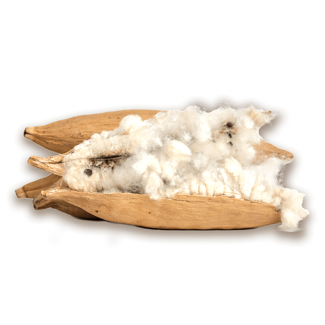 1L Kapok Nestmaterial für Hummeln