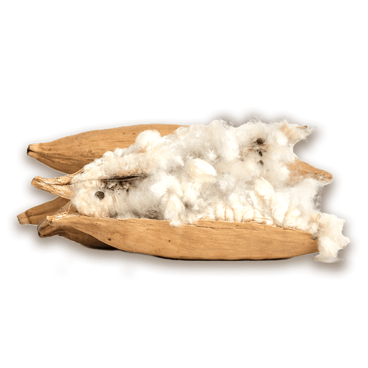 1L Kapok Nestmaterial für Hummeln