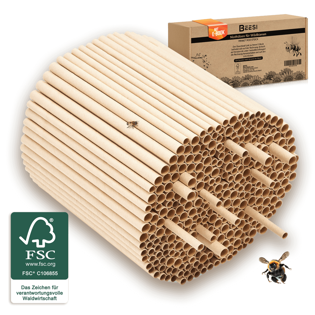 Nisthülsen aus Pappe