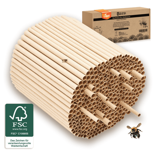 Nisthülsen aus Pappe