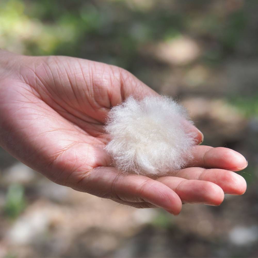 1L Kapok Nestmaterial für Hummeln