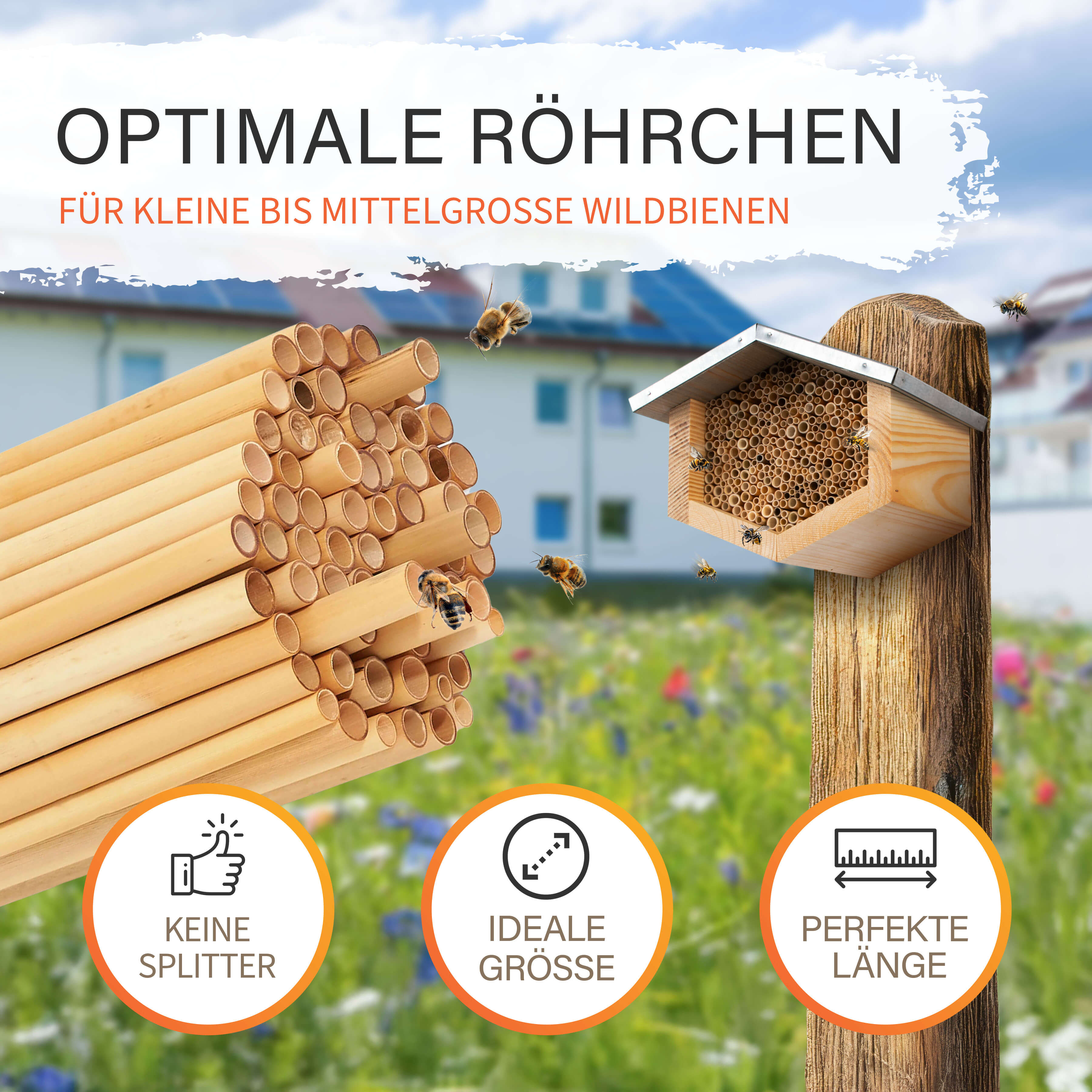 Bienenhotel mit Nisthülsen aus Schilf