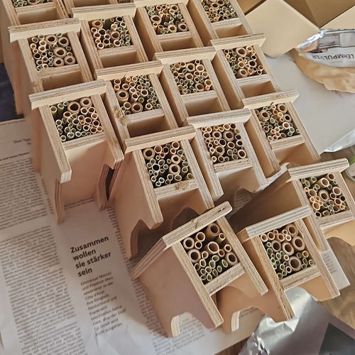 Ida-Box für Grundschulen
